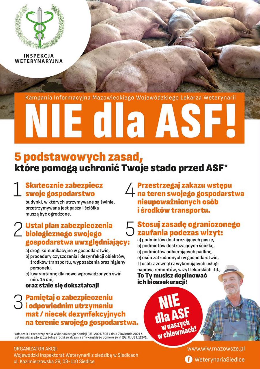 Kampania informacyjna Nie dla ASF! 