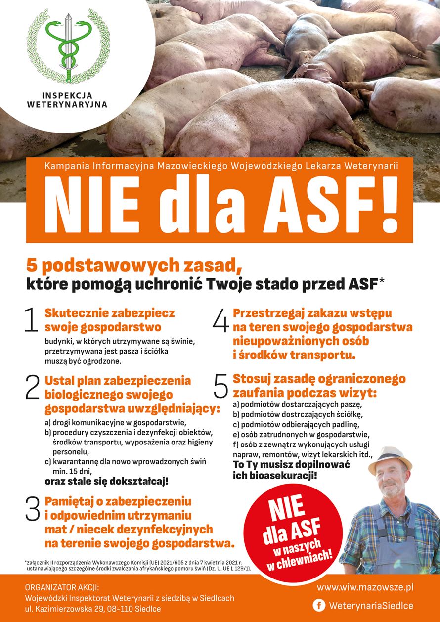Afrykański pomór świń w woj. mazowieckim